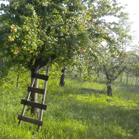 La Casa Dicuccaro Bed and breakfast Cuccaro Monferrato